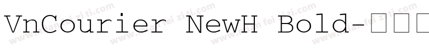 VnCourier NewH Bold字体转换